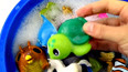 水盆里发现萌萌的绿海龟玩具