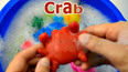 学习认识海里肥肥的螃蟹玩具