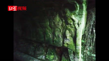 四川深山密林藏神秘罗汉洞 “18罗汉”石像栩栩如生
