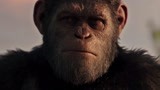 猩球崛起3：凯撒为保护猿族真是拼尽全力，最后死去真是被感动了