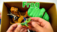 教你认识丛林里的青蛙玩具