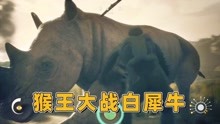 [图]先祖人类奥德赛35：猴王大战白犀牛和巨型野象，在热带草原大冒险