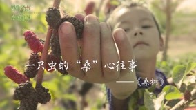 Watch the latest The Journey of Chinese Plants Episode 6 (2019) online with English subtitle for free English Subtitle