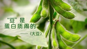 Watch the latest The Journey of Chinese Plants Episode 7 (2019) online with English subtitle for free English Subtitle
