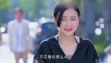 树峰和杨阳离婚，杨阳不敢回头看他，哭得让人心疼