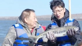 线上看 黑龙江著名龙菜的取食之路 (2019) 带字幕 中文配音