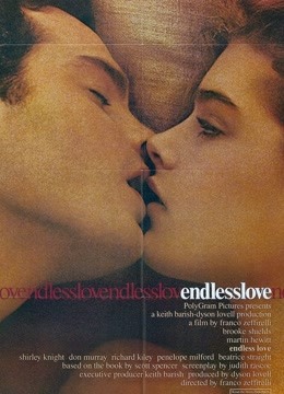 Watch the latest Endless Love ('14) (2020) online with English subtitle for free English Subtitle