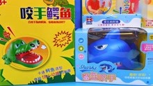 鲨鱼和鳄鱼有趣玩具