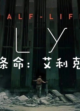 [图]VR半条命ALYX游戏实况