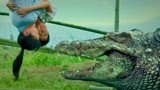 百万巨鳄：恶霸太狠毒，用小孩引出巨鳄出来，不料自吞恶果