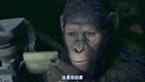 猩球崛起2：猿王凯撒打开摄像机，看着和老主人的视频，泪崩了