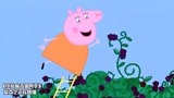小猪佩奇：猪妈妈学童年样子，爬上梯子摘黑莓，却啪唧摔倒了