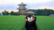 线上看 日本熊本县部长跳无价之姐 熊本熊卖力扭动营业满分 (2020) 带字幕 中文配音
