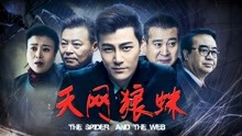 watch the latest the Spider and the Web (2018) with English subtitle English Subtitle