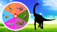 认识阿马格巨龙，穆塔布拉龙等6种恐龙