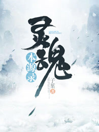 灵魂本源录