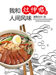 我和灶神君的人间风味