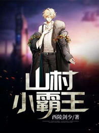 山村小霸王