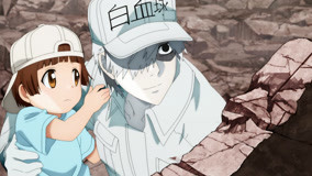 Tonton online Cells at Work! S2 Episode 1 (2021) Sub Indo Dubbing Mandarin