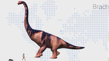 史上最全恐龙高度对比下