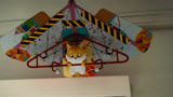 猫与桃花源：小猫咪研究飞行，却屡屡受挫！