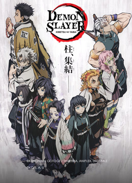 Demon Slayer Kimetsu No Yaiba Hashira Meeting Butterfly Mansion Watch Online Iqiyi