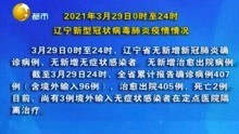 2021年3月29日0时至24时，辽宁新型冠状病毒肺炎疫情情况