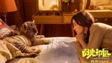 《阳光劫匪》预售火热发插曲MV 宋佳倾情献唱“我要抱着你”