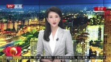 北京卫视《书画里的中国》定档4月23日 王刚佘诗曼品茗赏画