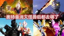 肥宅《奥特曼系列大盘点》 2021-06-20