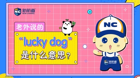 每日一词 歪果仁说的lucky dog是什么意思?