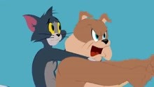 新猫和老鼠：斯派克帅气地救出汤姆杰瑞它们，最后却要被主人误会