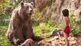 奇幻森林：熊孩子人小鬼大，竟用这个办法帮狗熊摘蜂蜜，太聪明了