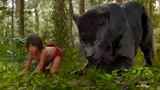奇幻森林：不愧是森林的守护神，连黑豹都要低头致敬，小孩看傻了