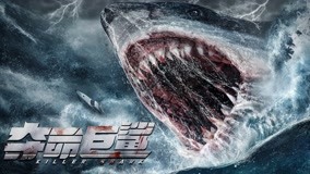 watch the latest Killer Shark (2021) with English subtitle English Subtitle