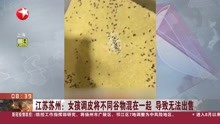 江苏苏州:女孩调皮将不同谷物混在一起 导致无法出售