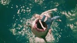 鲨口逃生：凶猛大鲨鱼来袭，美女还在海里游泳，瞬间血溅当场！