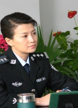 铁骨芳心：廖芳华任公安局长，改变混乱局面的故事