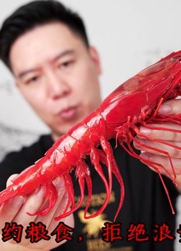 各种顶级海虾龙虾的选购-科普-处理-烹饪和试吃