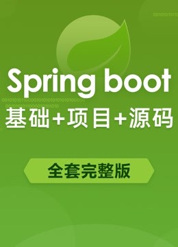 全套Springboot入门教程微服务架构原理及项目实战