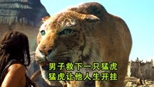 [图]男子救下一只猛虎，猛虎让他人生从此开挂