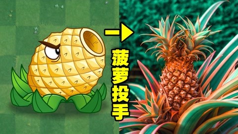 植物大战僵尸菠萝哥图片
