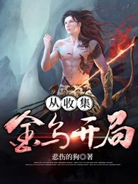 从收集金乌开局