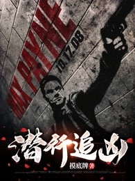 潜行追凶