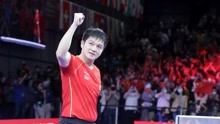 实至名归 樊振东获得世乒赛男单冠军