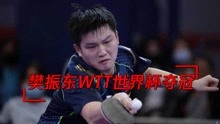 WTT世界杯决赛，樊振东4-1横扫张本智和！连续斩获2大赛冠军！