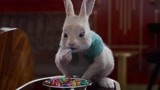 比得兔2：小兔子吃了好多糖果，好吃到跺脚脚，太萌了