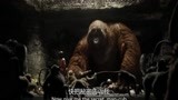 奇幻森林：熊孩子被猴群绑架，还见到了“美猴王”，简直成精了！