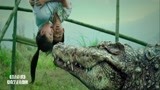 百万巨鳄：黑商贩杀鳄鱼，竟用小孩当诱饵，没想自食恶果！