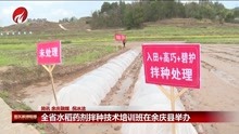 全省水稻药剂拌种技术培训班在余庆县举办